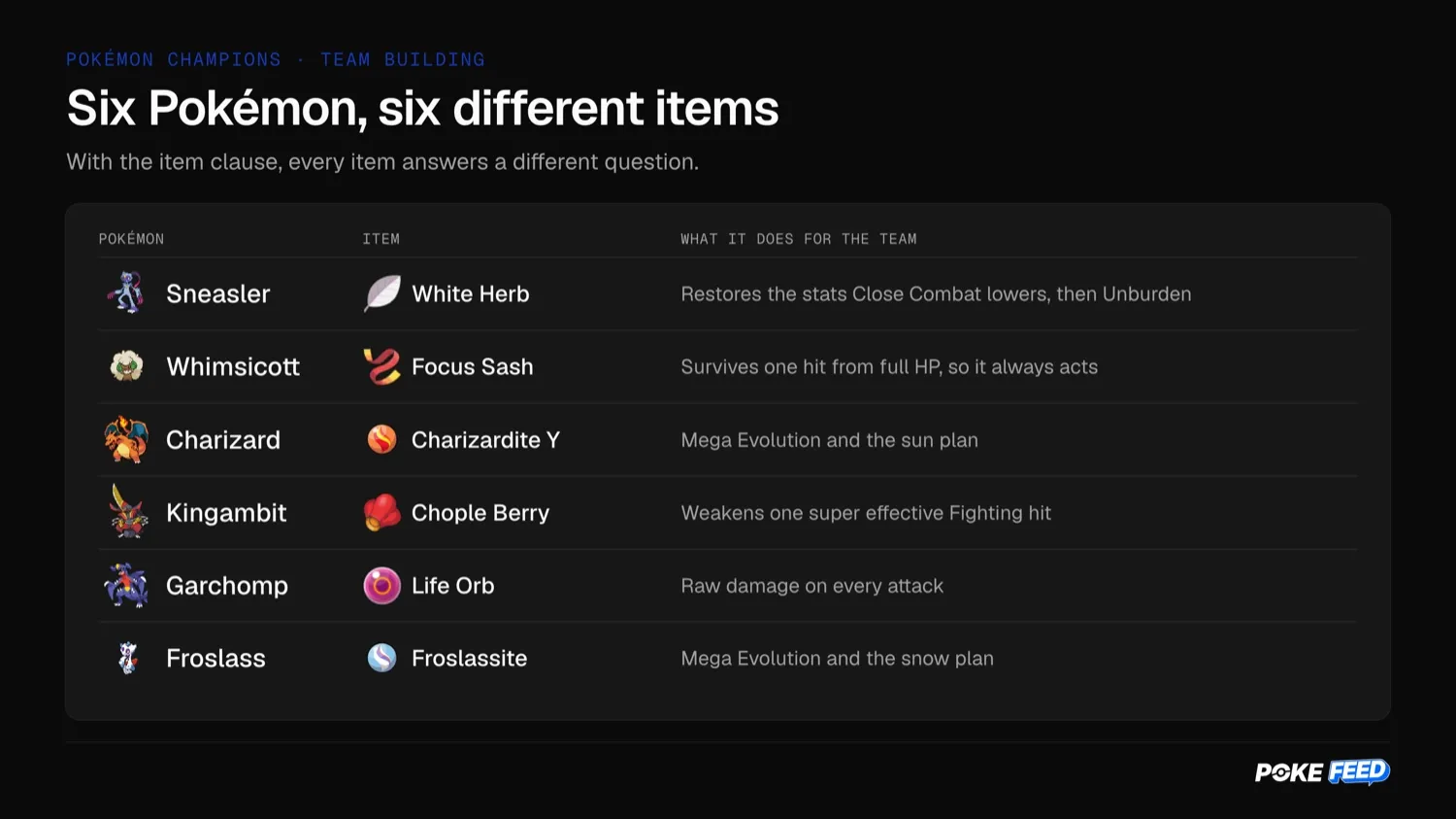 Six different items on one team: White Herb, Focus Sash, Charizardite Y, Chople Berry, Life Orb and Froslassite, with what each does for the team.